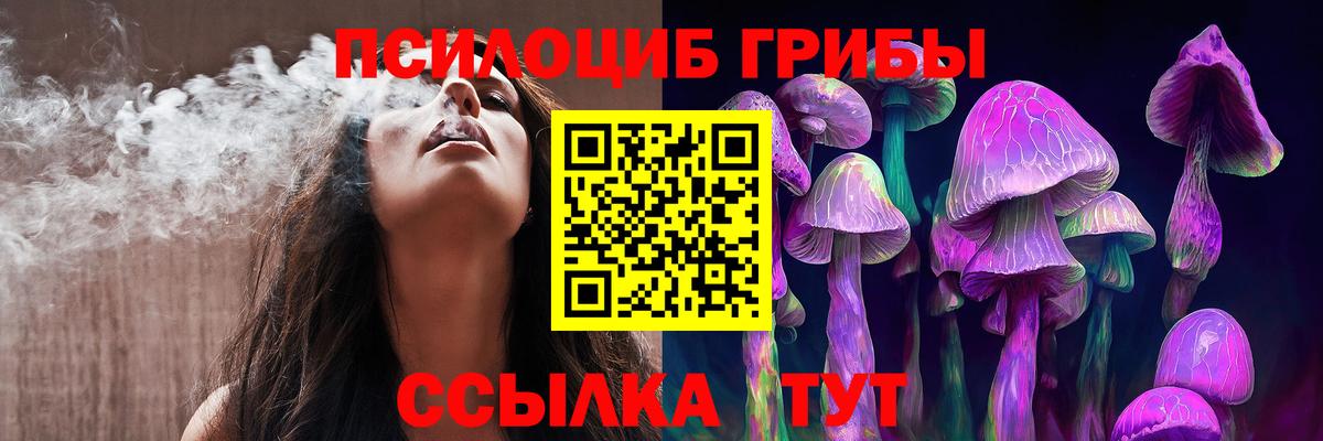 как найти закладки  Вход с VPN  Алатырь  Псилоцибиновые грибы GOLDEN TEACHER 