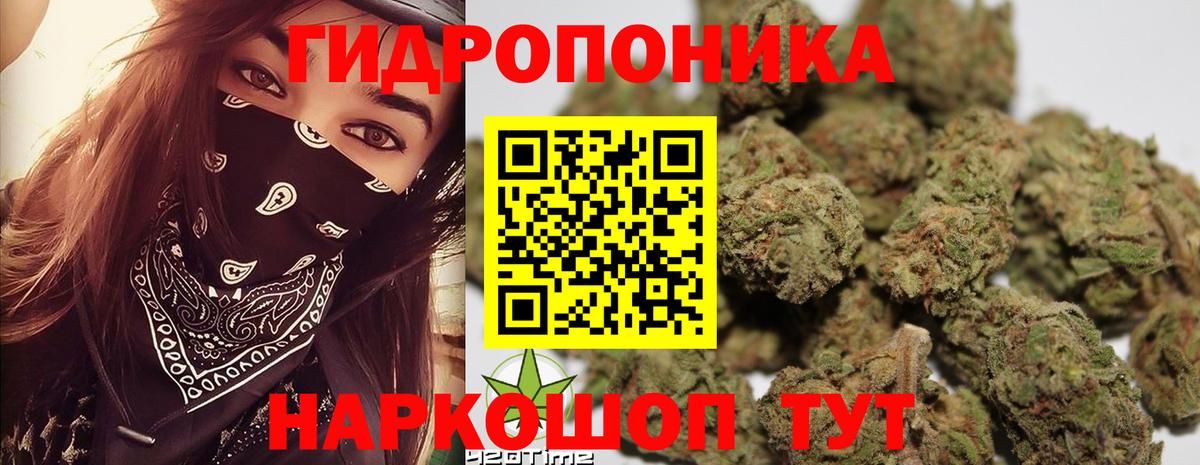 Марихуана VHQ  Вход с VPN  Бошки марихуана SATIVA & INDICA  Алатырь  Марихуана индика 