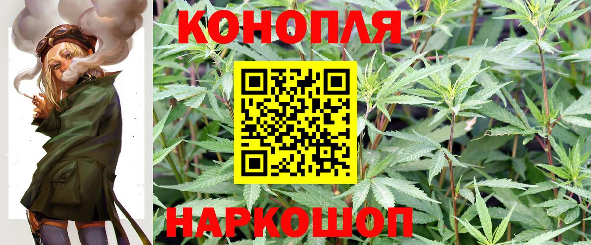 Конопля тримм Алатырь